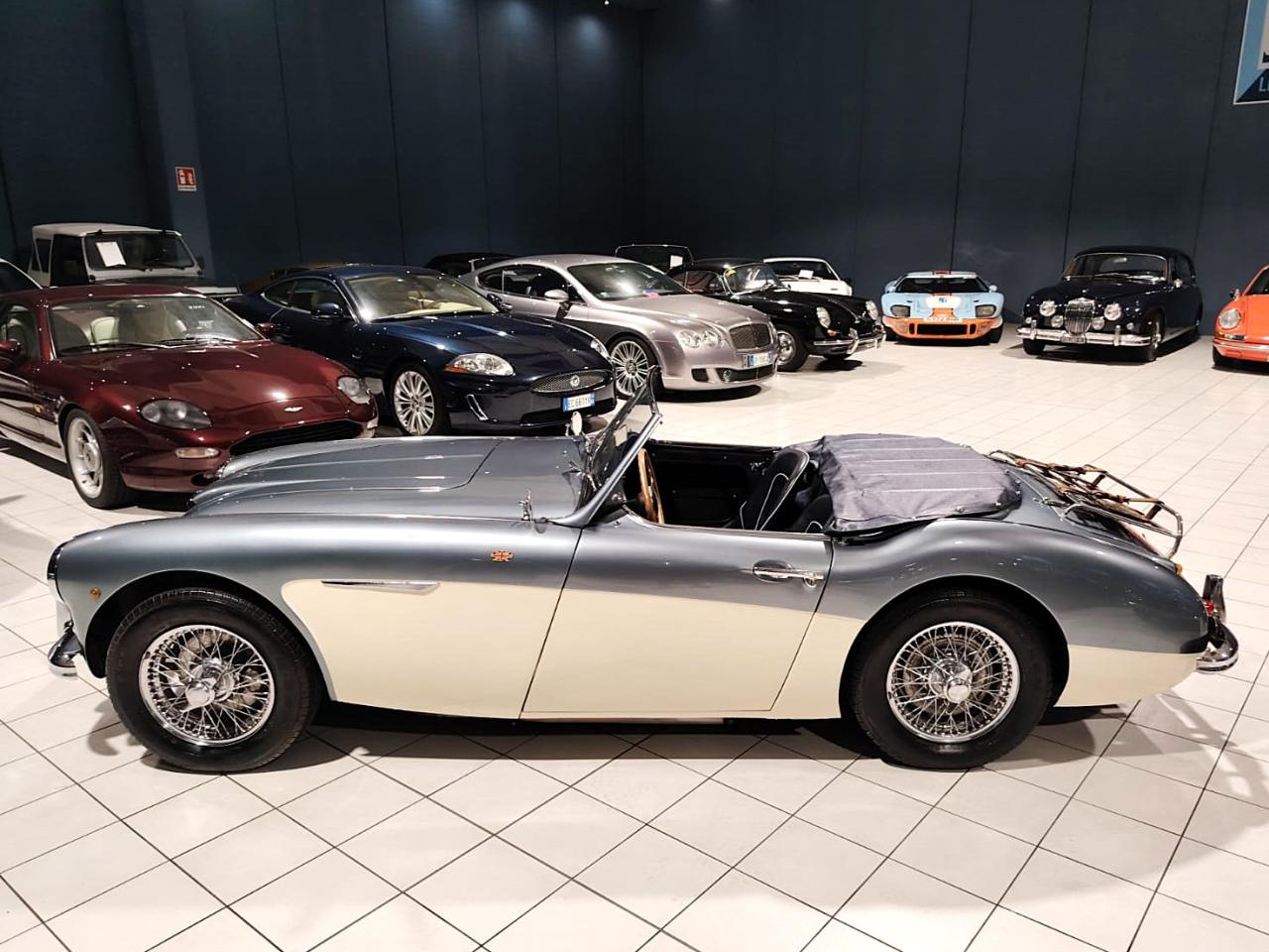 1957 Austin - Healey 100/6