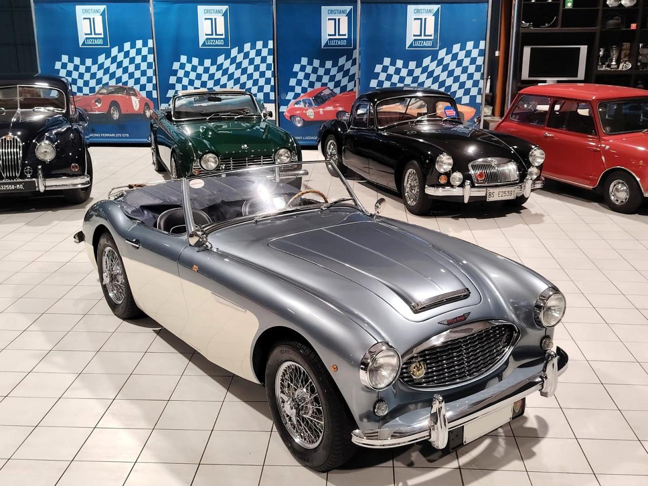 1957 Austin - Healey 100/6