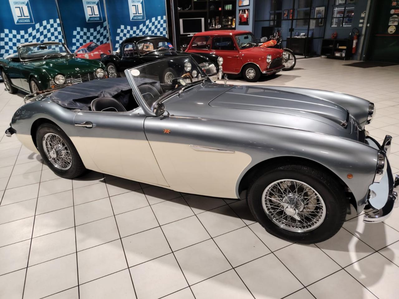 1957 Austin - Healey 100/6