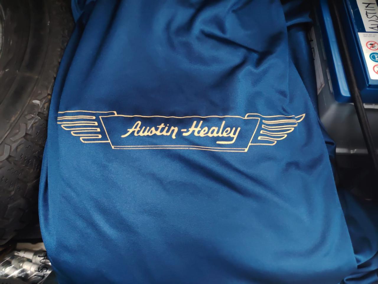 1957 Austin - Healey 100/6