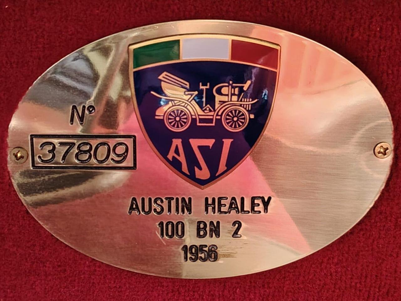 1956 Austin - Healey 100-4 BN2