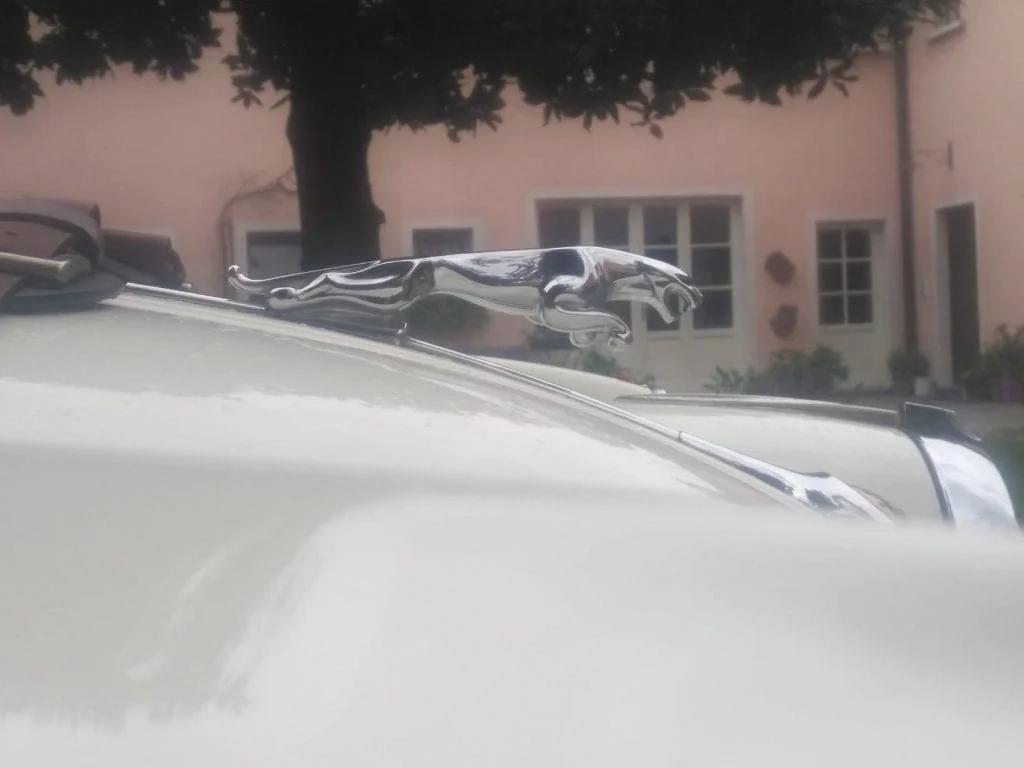 1952 Jaguar XK 120 Roadster