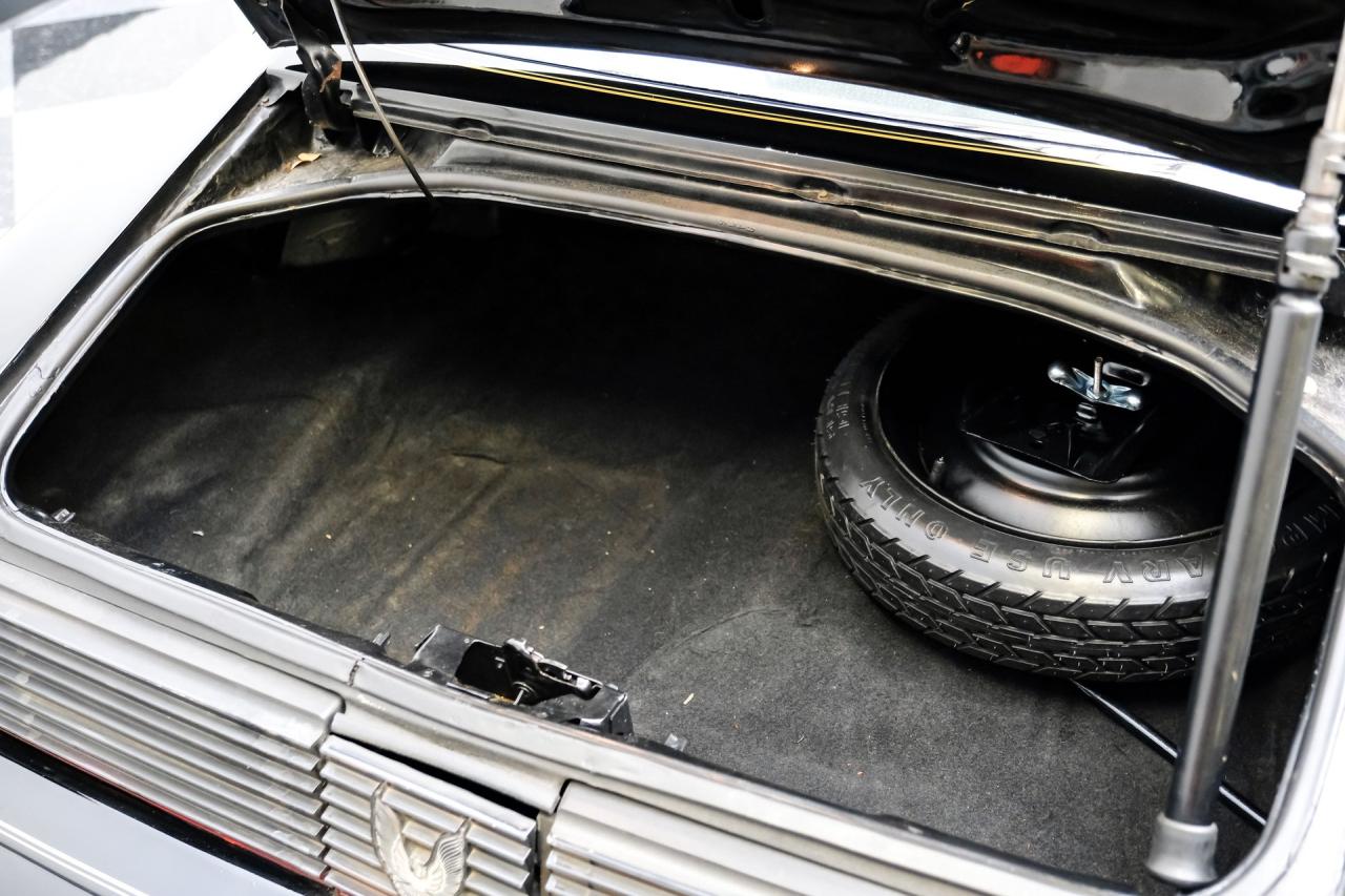 1980 Pontiac Firebird Trans Am 455