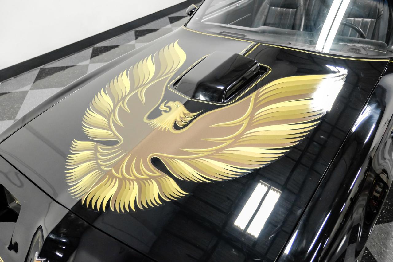 1980 Pontiac Firebird Trans Am 455
