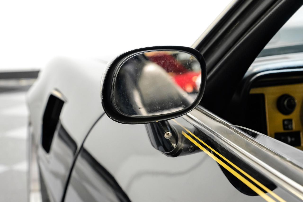 1980 Pontiac Firebird Trans Am 455