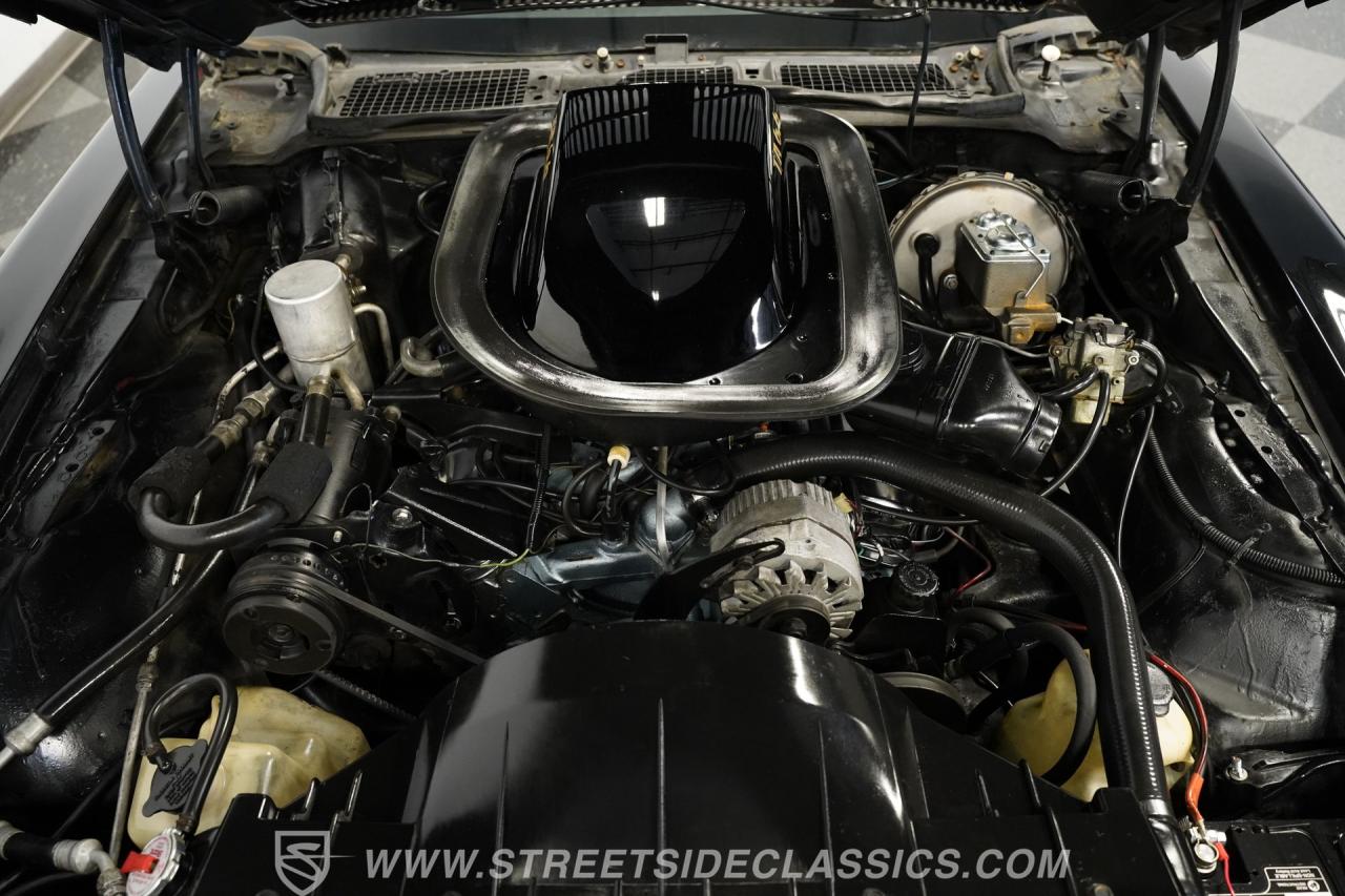 1976 Pontiac Firebird Trans Am