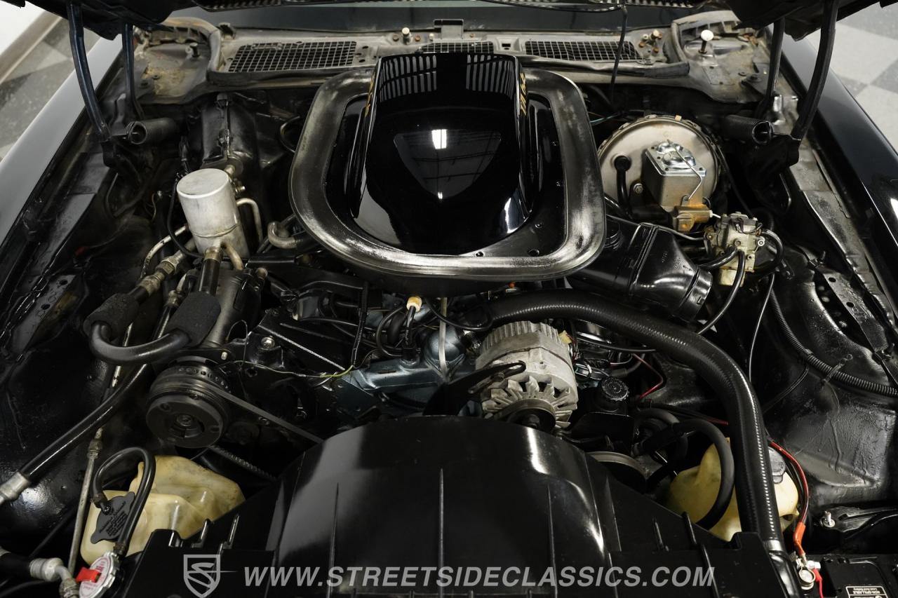 1976 Pontiac Firebird Trans Am