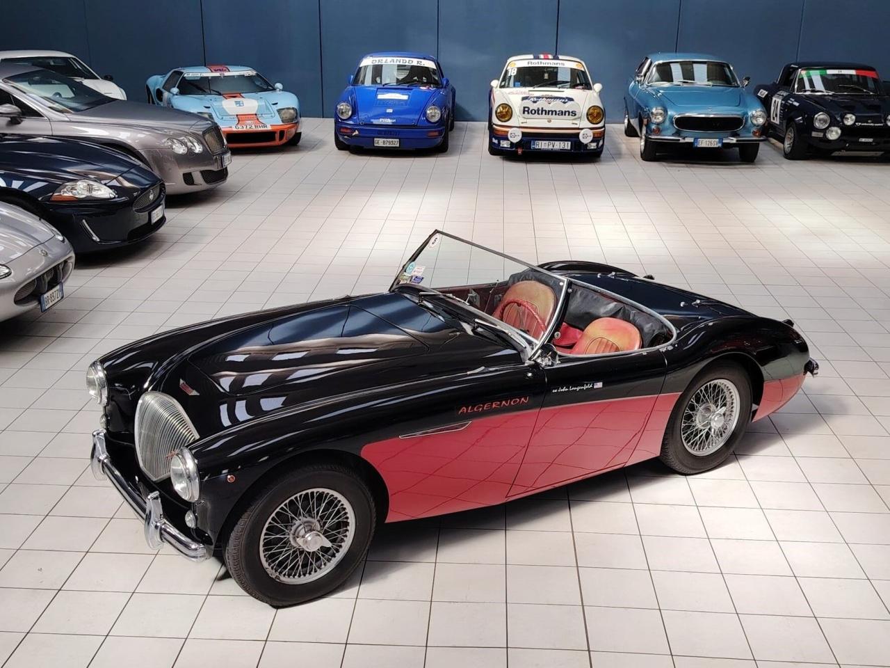 1956 Austin - Healey 100-4 BN2