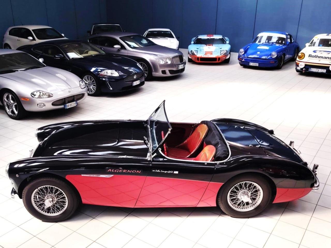 1956 Austin - Healey 100-4 BN2