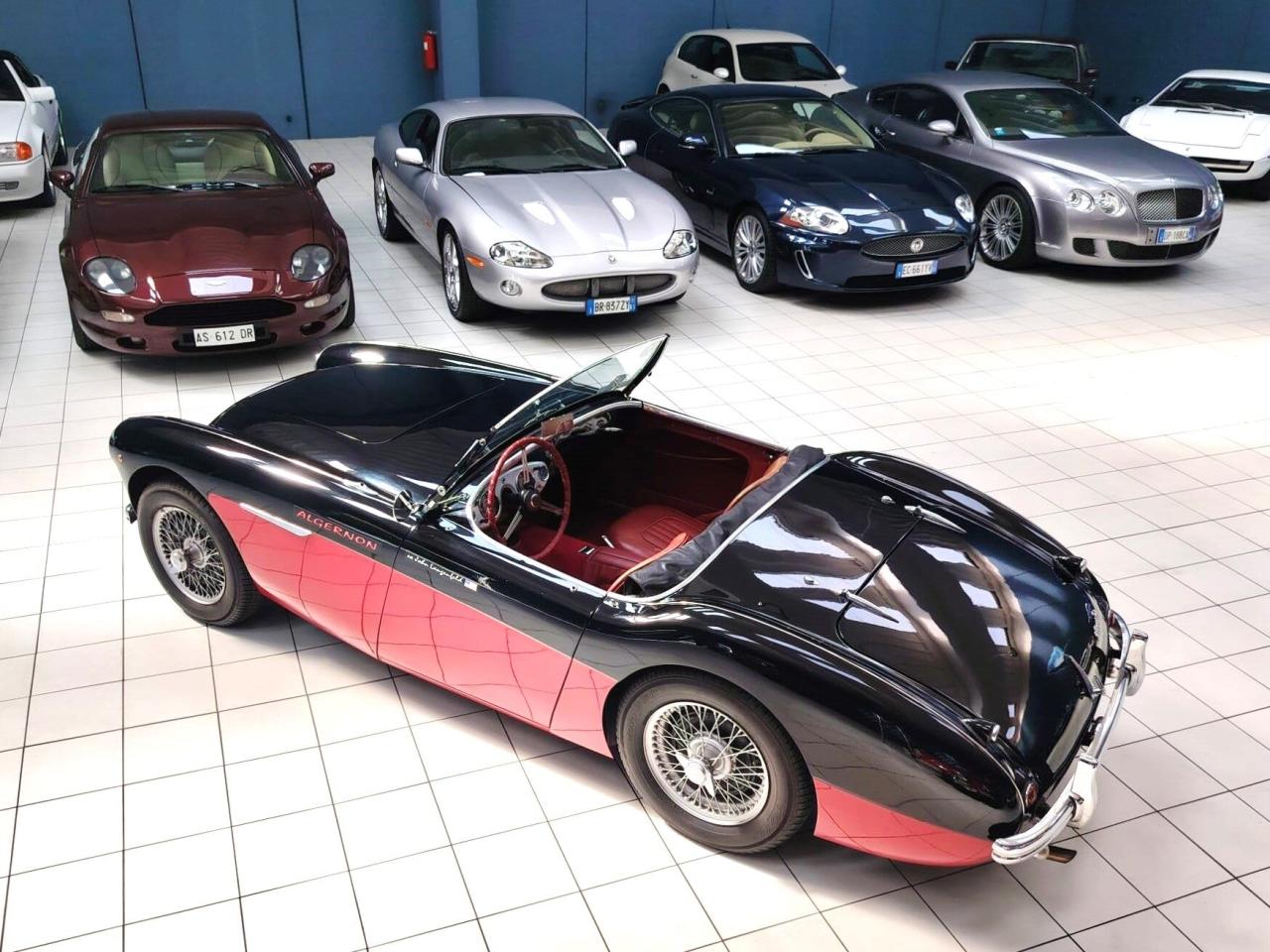 1956 Austin - Healey 100-4 BN2