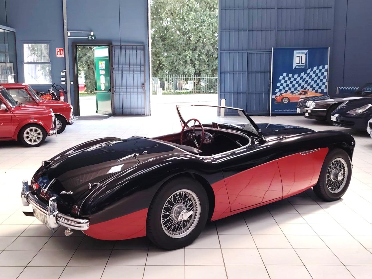 1956 Austin - Healey 100-4 BN2