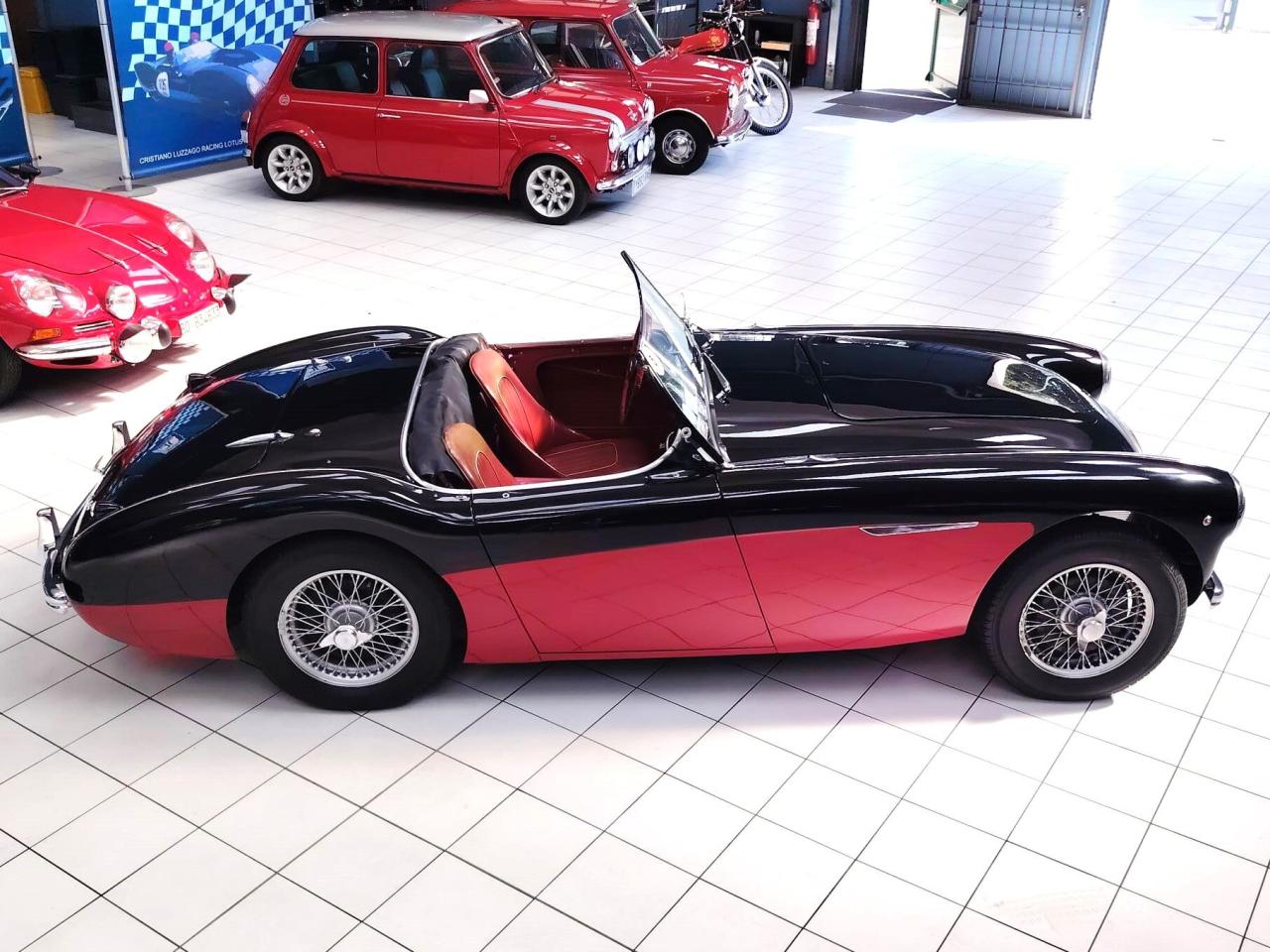 1956 Austin - Healey 100-4 BN2