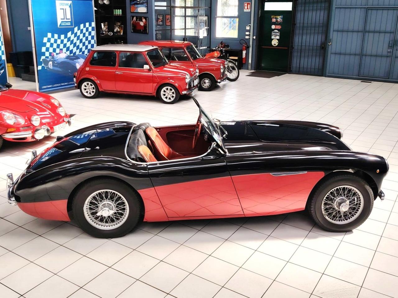 1956 Austin - Healey 100-4 BN2