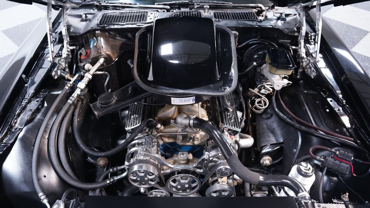 1981 Pontiac Firebird Trans Am