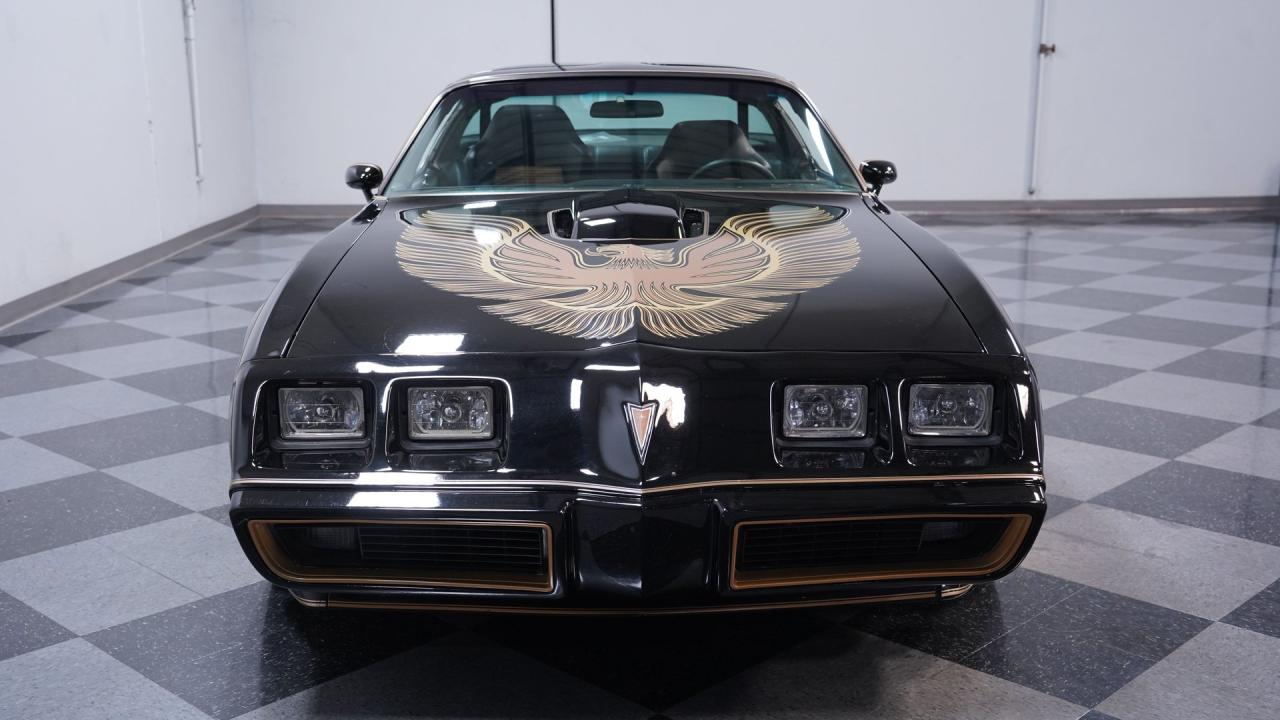 1981 Pontiac Firebird Trans Am
