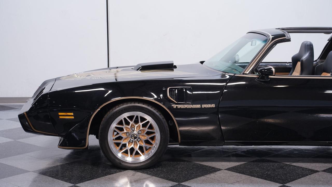 1981 Pontiac Firebird Trans Am