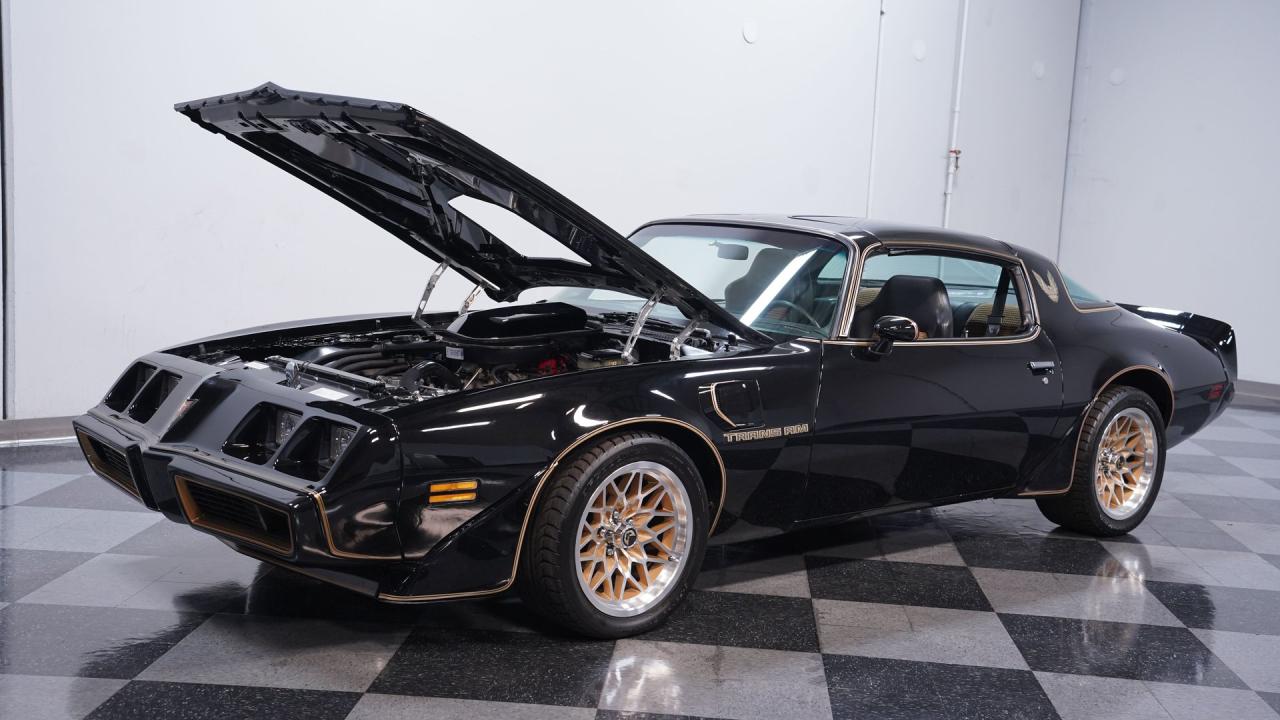 1981 Pontiac Firebird Trans Am