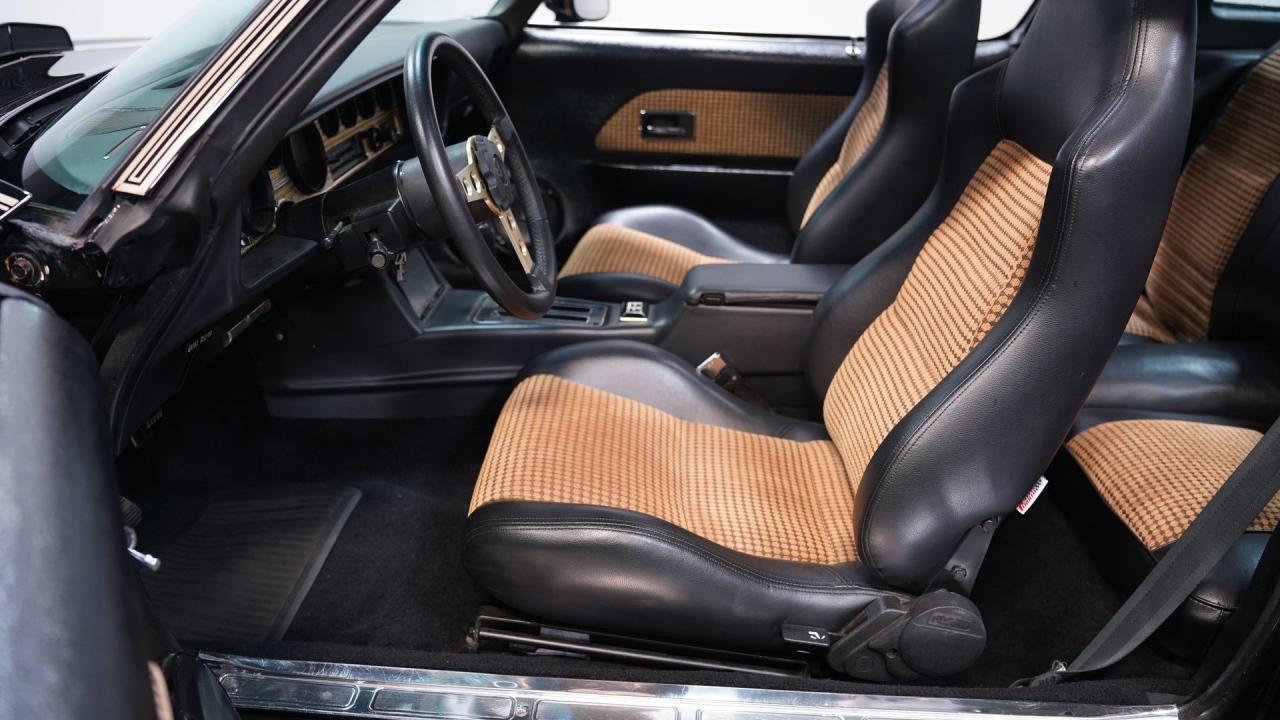 1981 Pontiac Firebird Trans Am