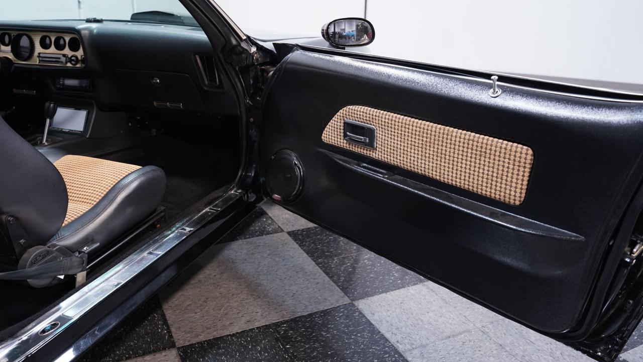 1981 Pontiac Firebird Trans Am