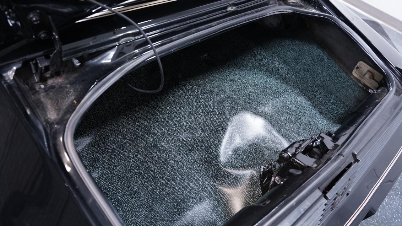 1981 Pontiac Firebird Trans Am