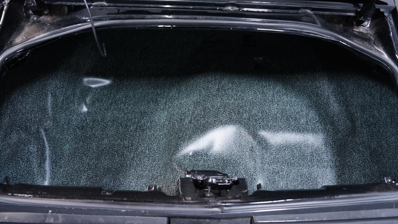 1981 Pontiac Firebird Trans Am