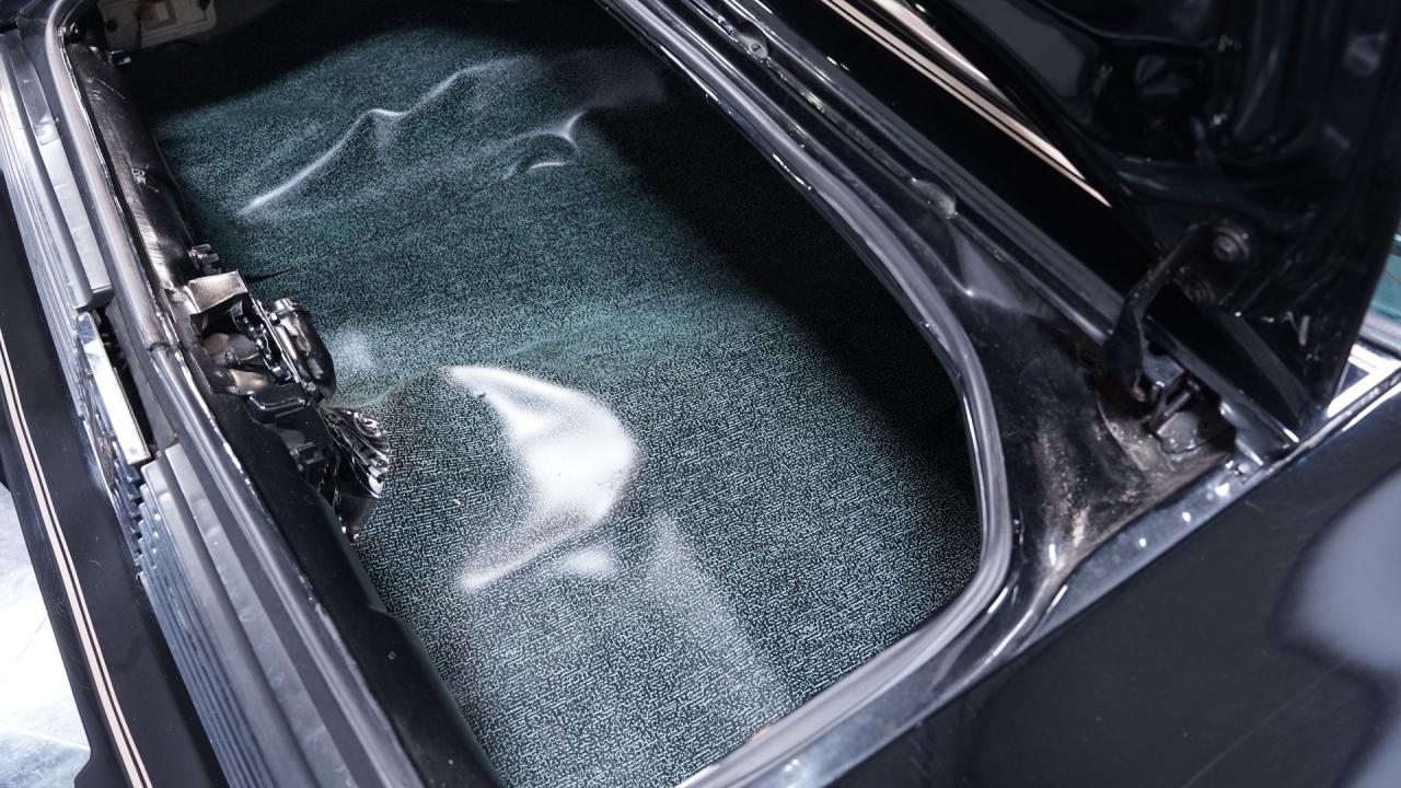 1981 Pontiac Firebird Trans Am