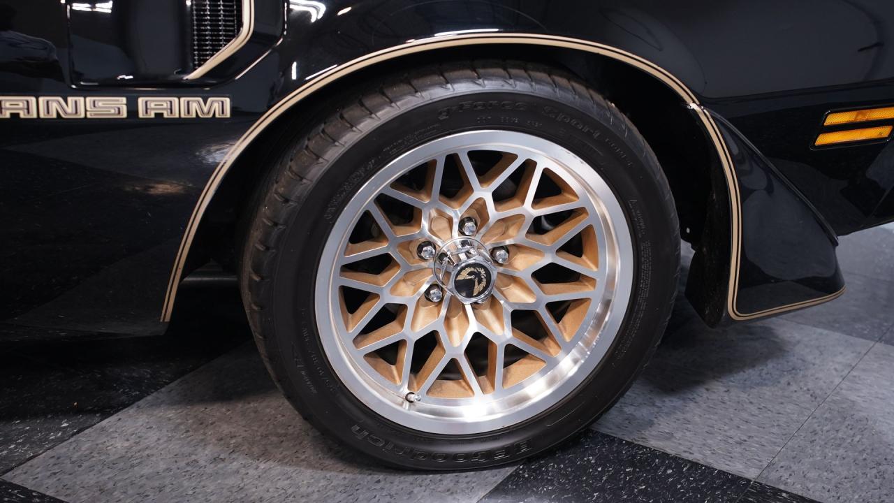 1981 Pontiac Firebird Trans Am