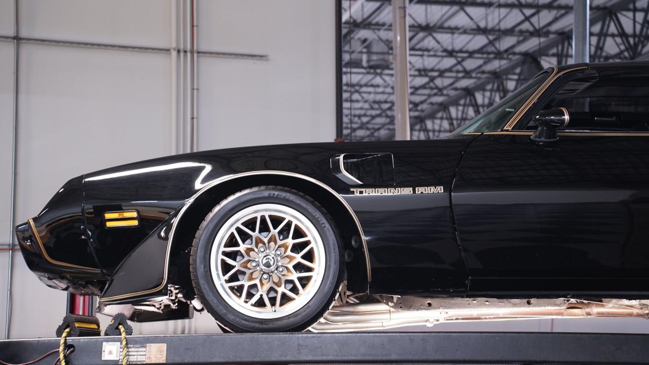 1981 Pontiac Firebird Trans Am