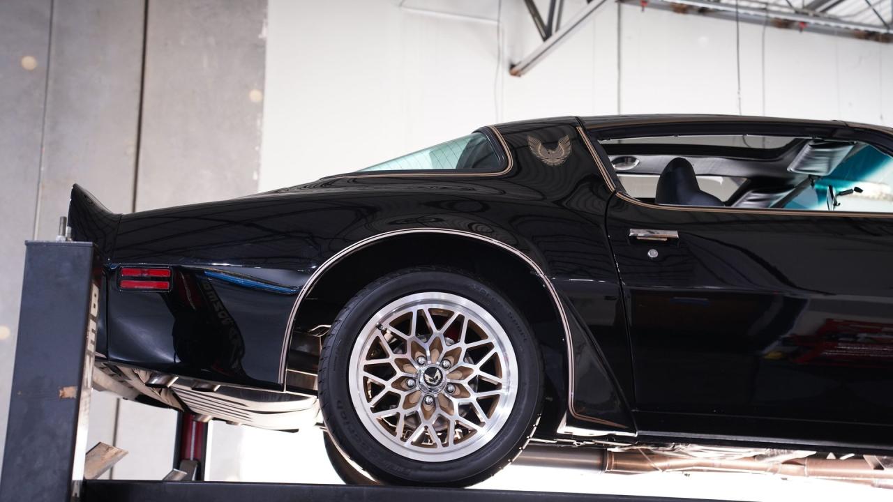 1981 Pontiac Firebird Trans Am