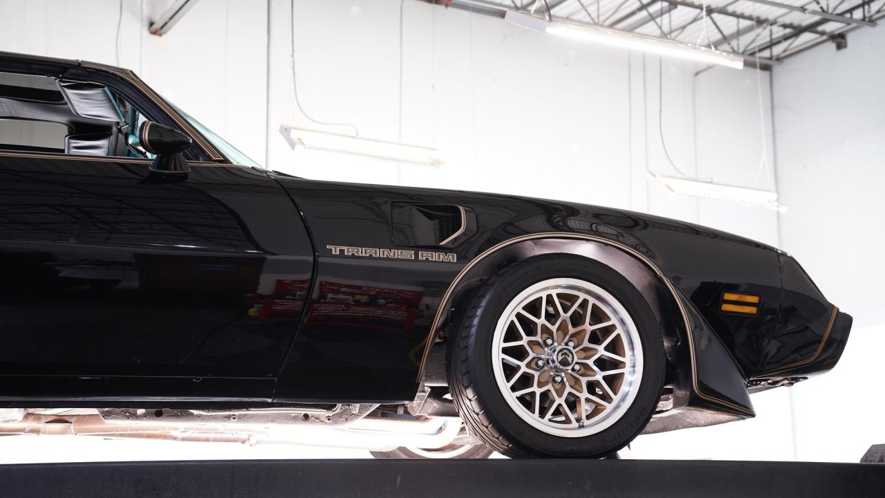 1981 Pontiac Firebird Trans Am