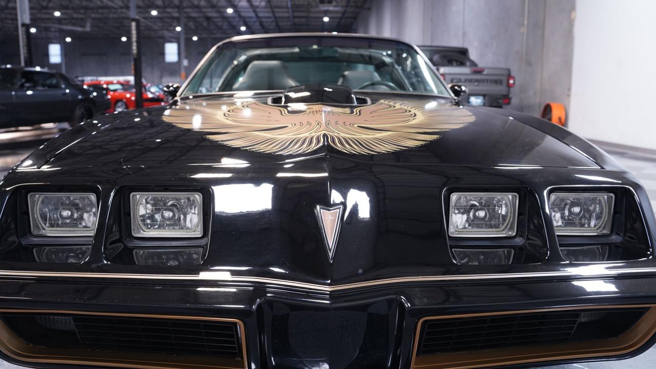 1981 Pontiac Firebird Trans Am
