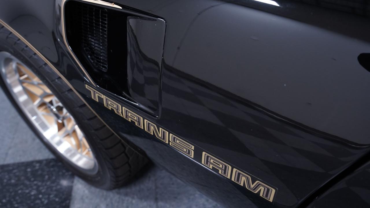 1981 Pontiac Firebird Trans Am