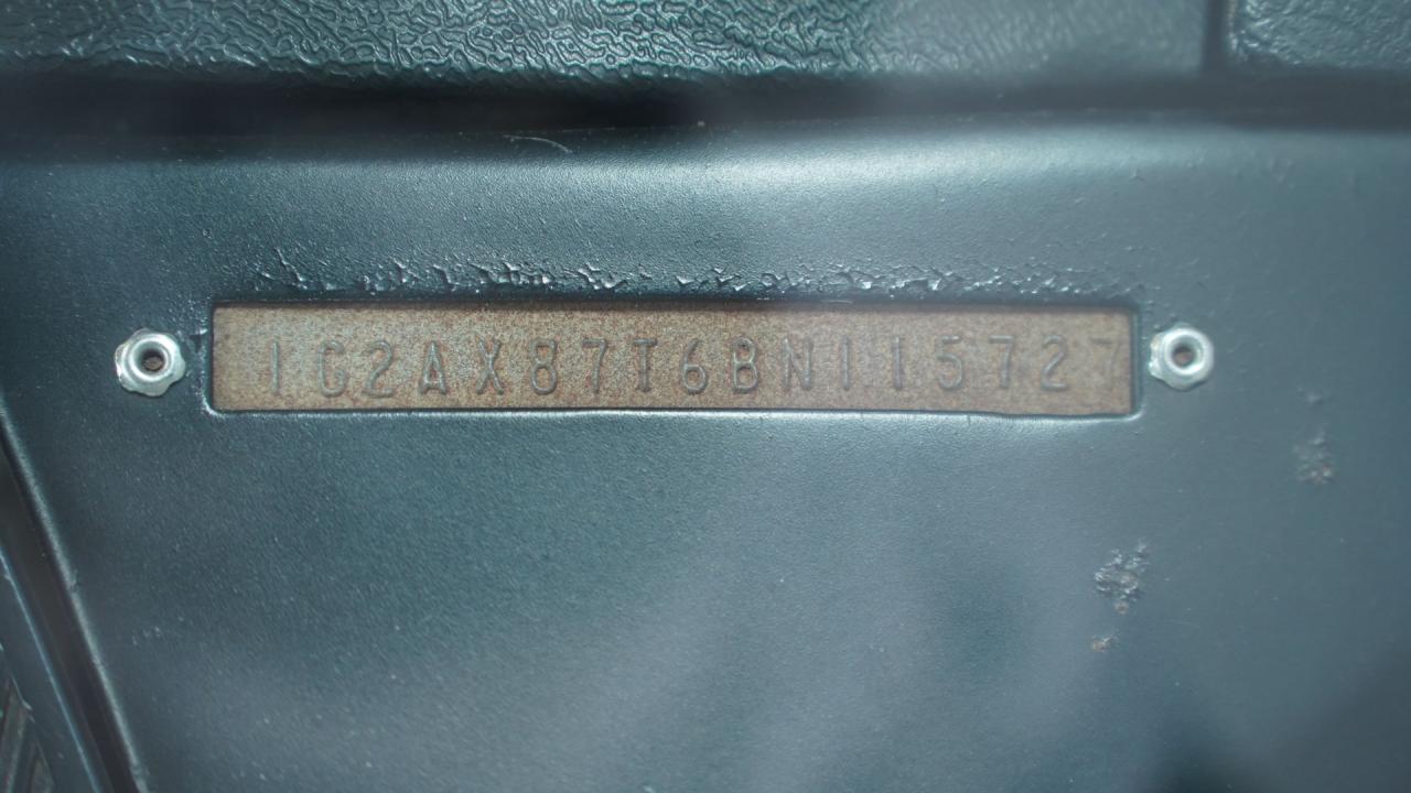 1981 Pontiac Firebird Trans Am