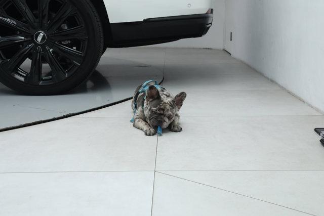 2025 Cadillac Escalade ESV