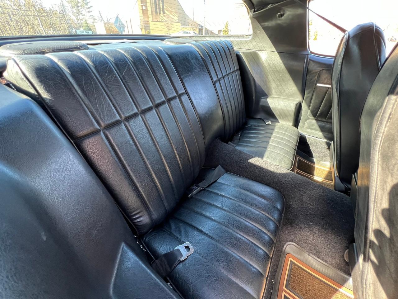 1979 Pontiac Trans Am