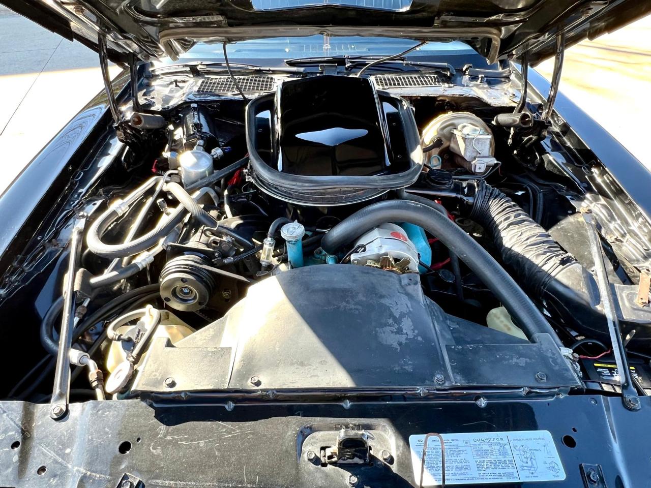 1979 Pontiac Trans Am