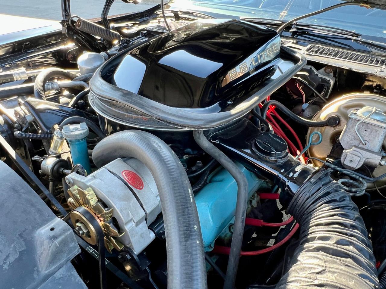 1979 Pontiac Trans Am