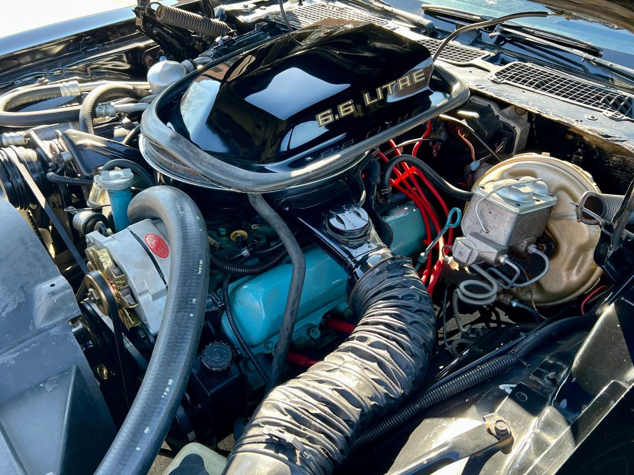 1979 Pontiac Trans Am