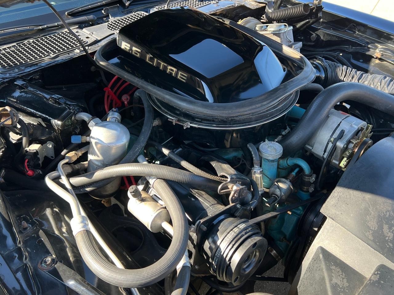 1979 Pontiac Trans Am