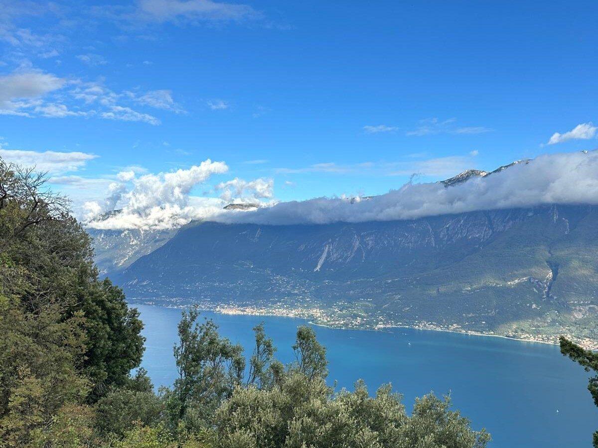 1965 Jaguar E TYPE ROADSTER S1