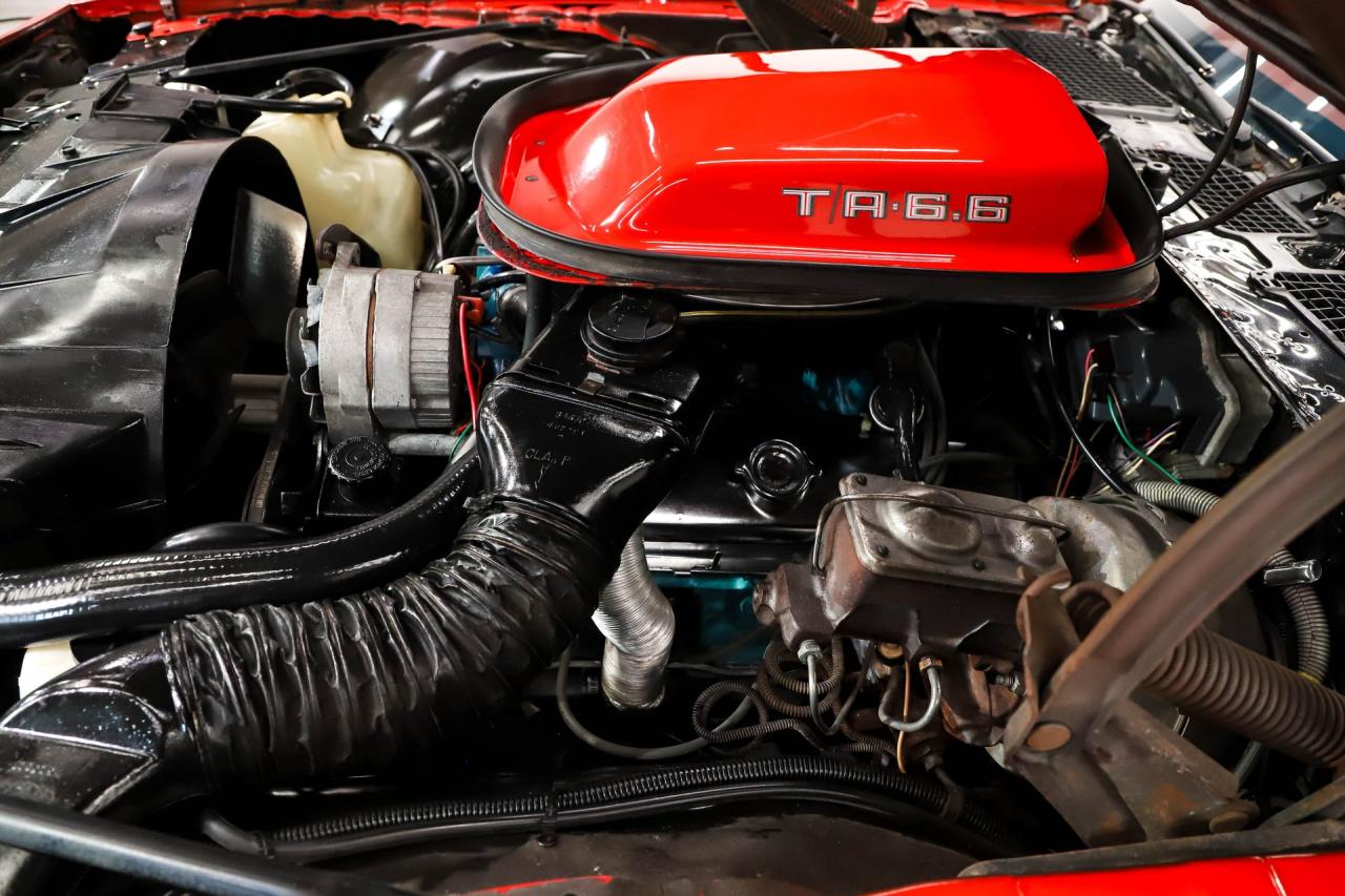 1979 Pontiac Trans Am