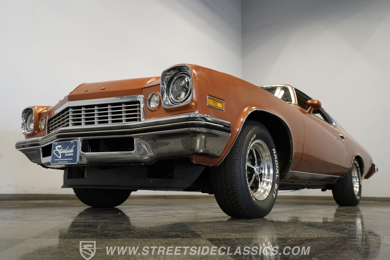 1974 Buick Century Luxus