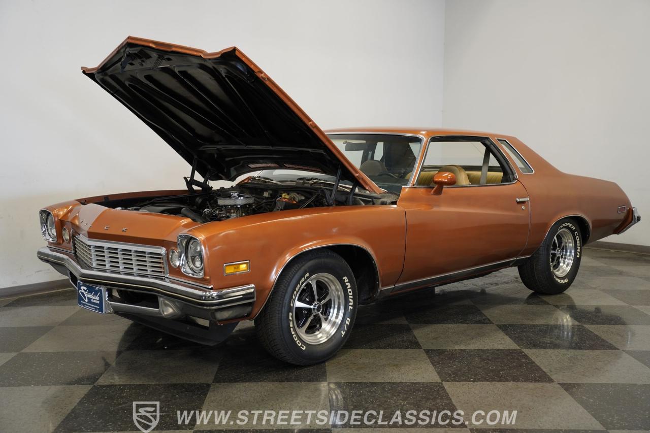1974 Buick Century Luxus