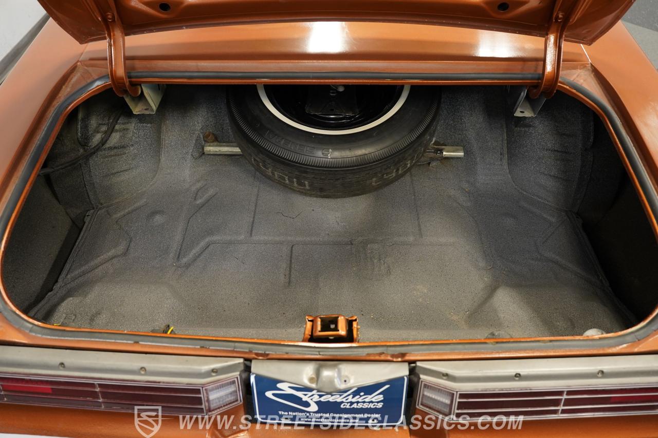 1974 Buick Century Luxus