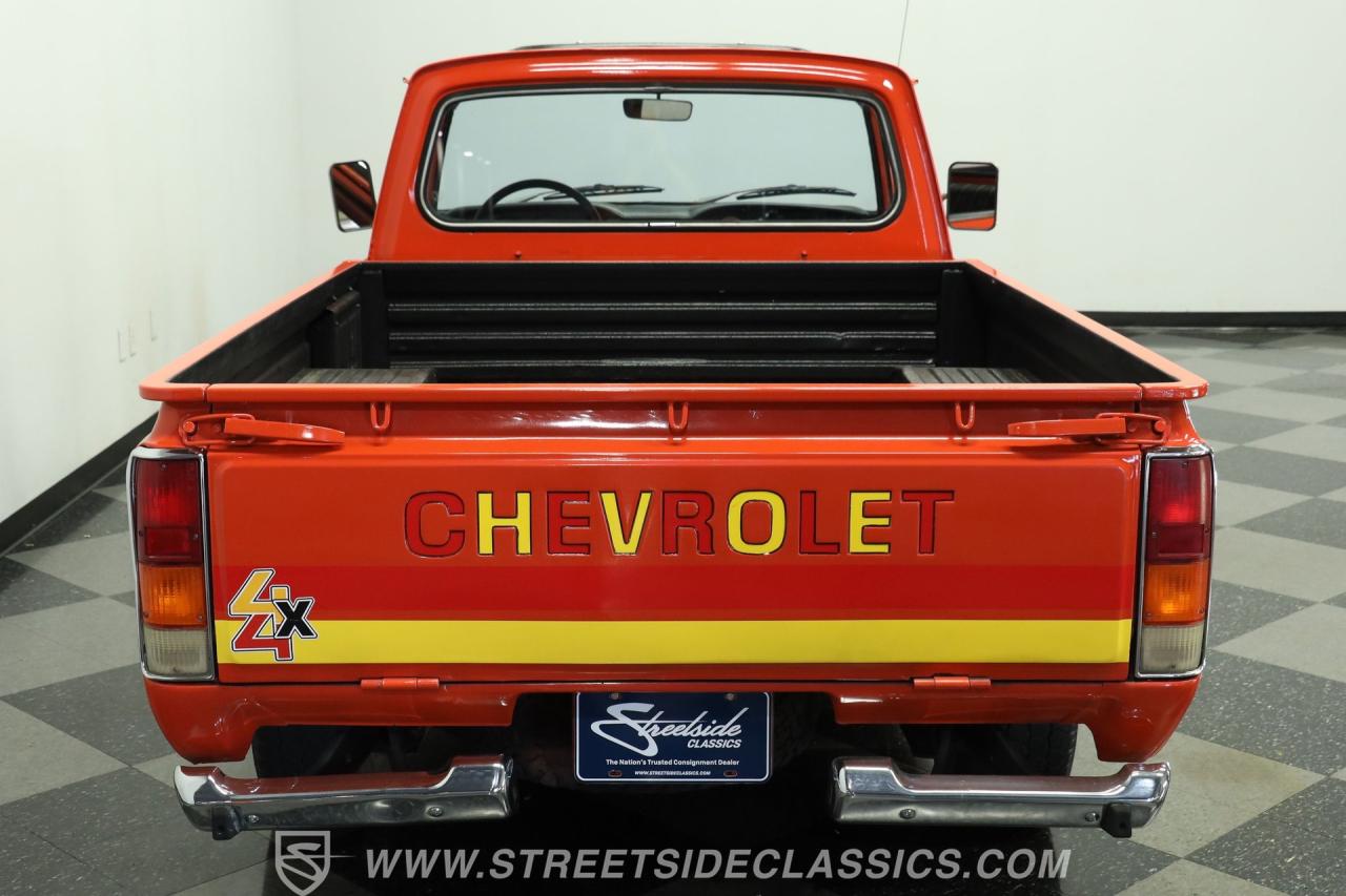 1979 Chevrolet LUV Mikado Pickup 4x4