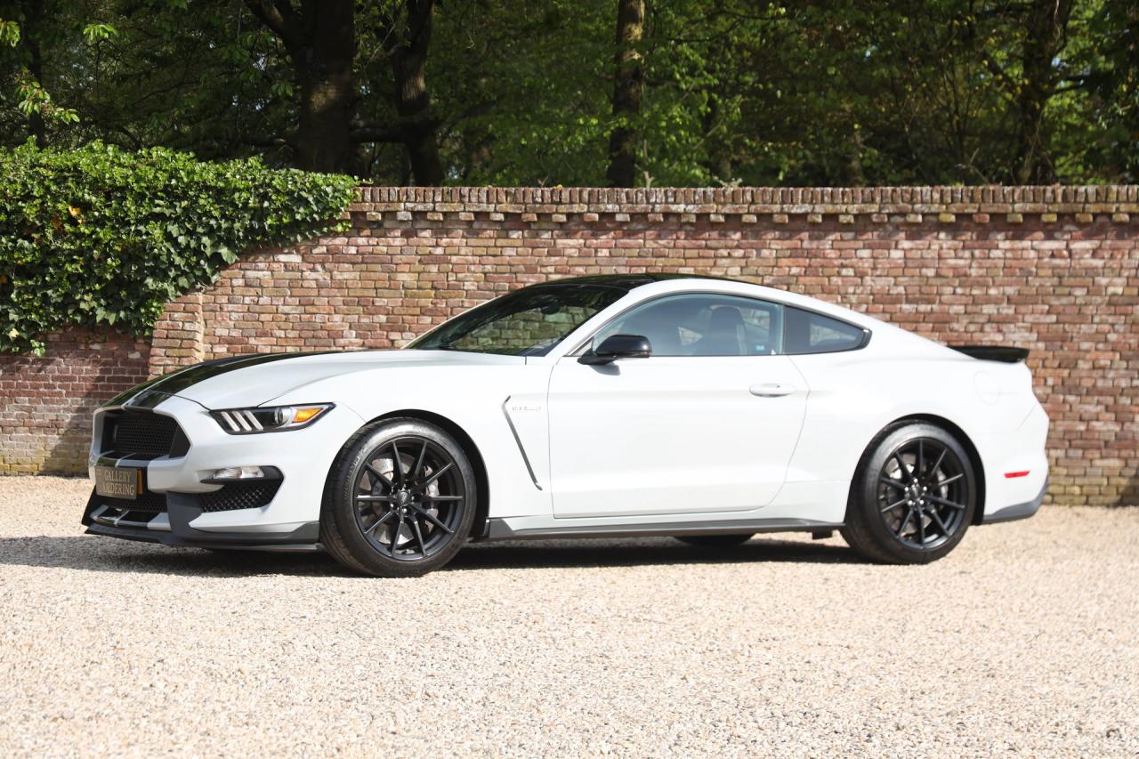 2017 Ford Mustang Shelby GT350 &ldquo;Avalanche&rdquo;
