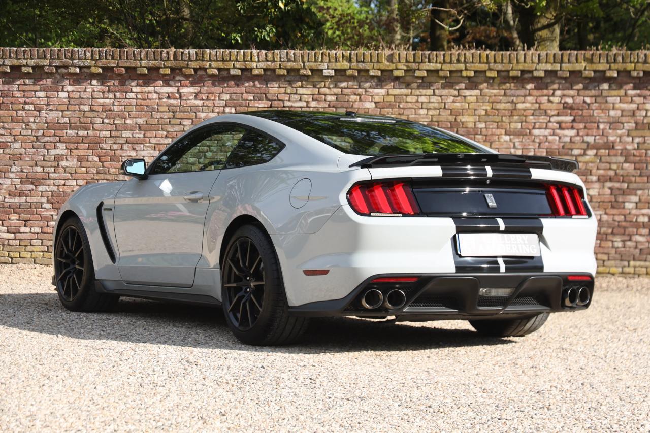 2017 Ford Mustang Shelby GT350 &ldquo;Avalanche&rdquo;