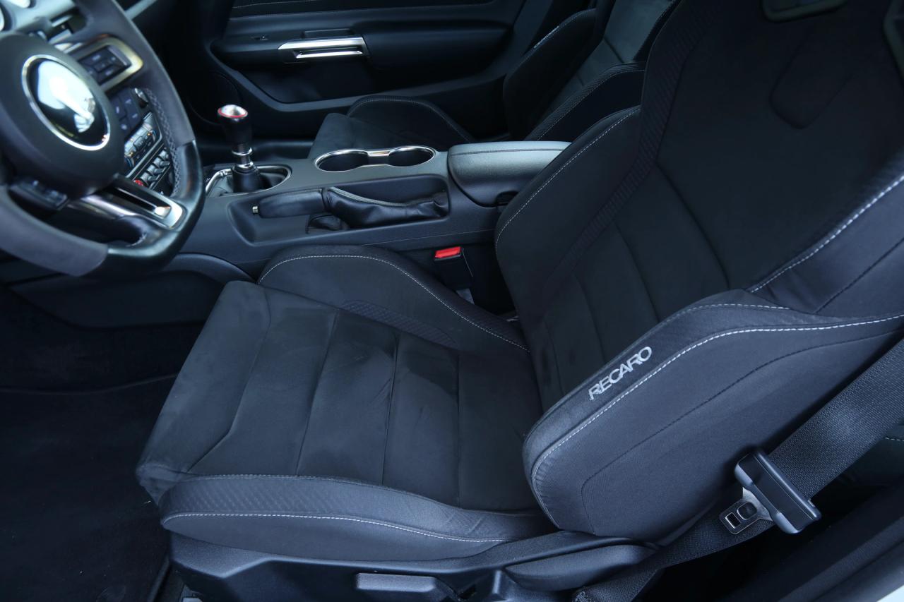 2017 Ford Mustang Shelby GT350 &ldquo;Avalanche&rdquo;