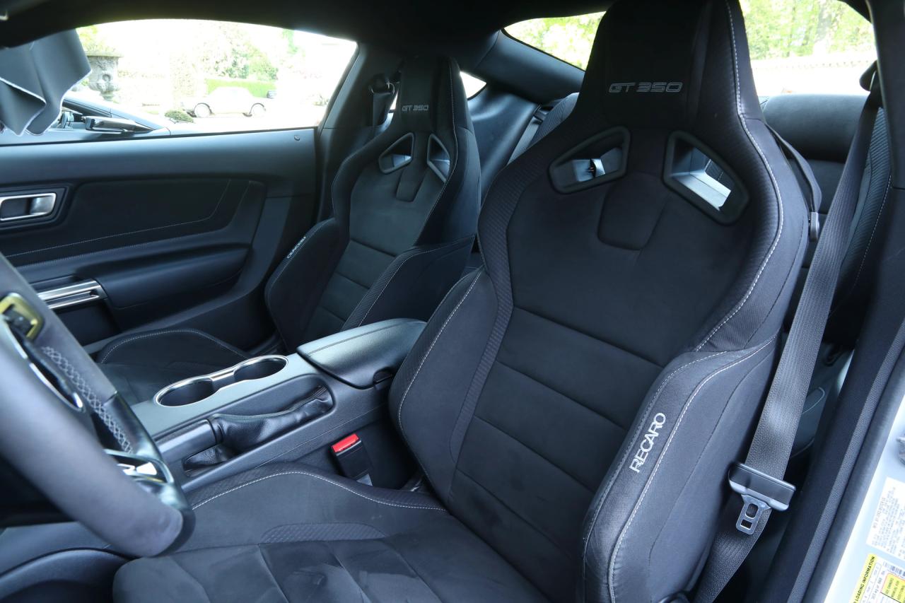 2017 Ford Mustang Shelby GT350 &ldquo;Avalanche&rdquo;