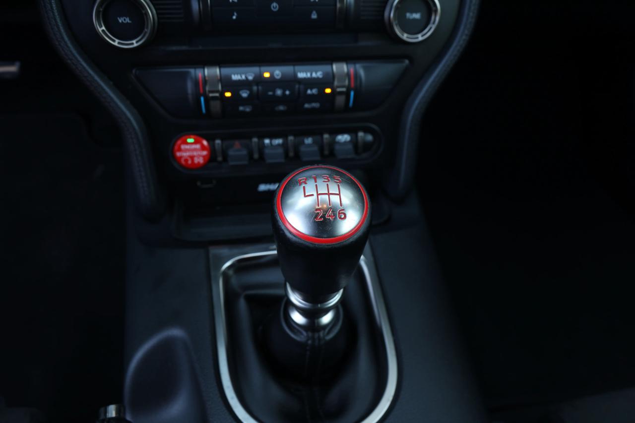 2017 Ford Mustang Shelby GT350 &ldquo;Avalanche&rdquo;